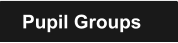 Pupil Groups